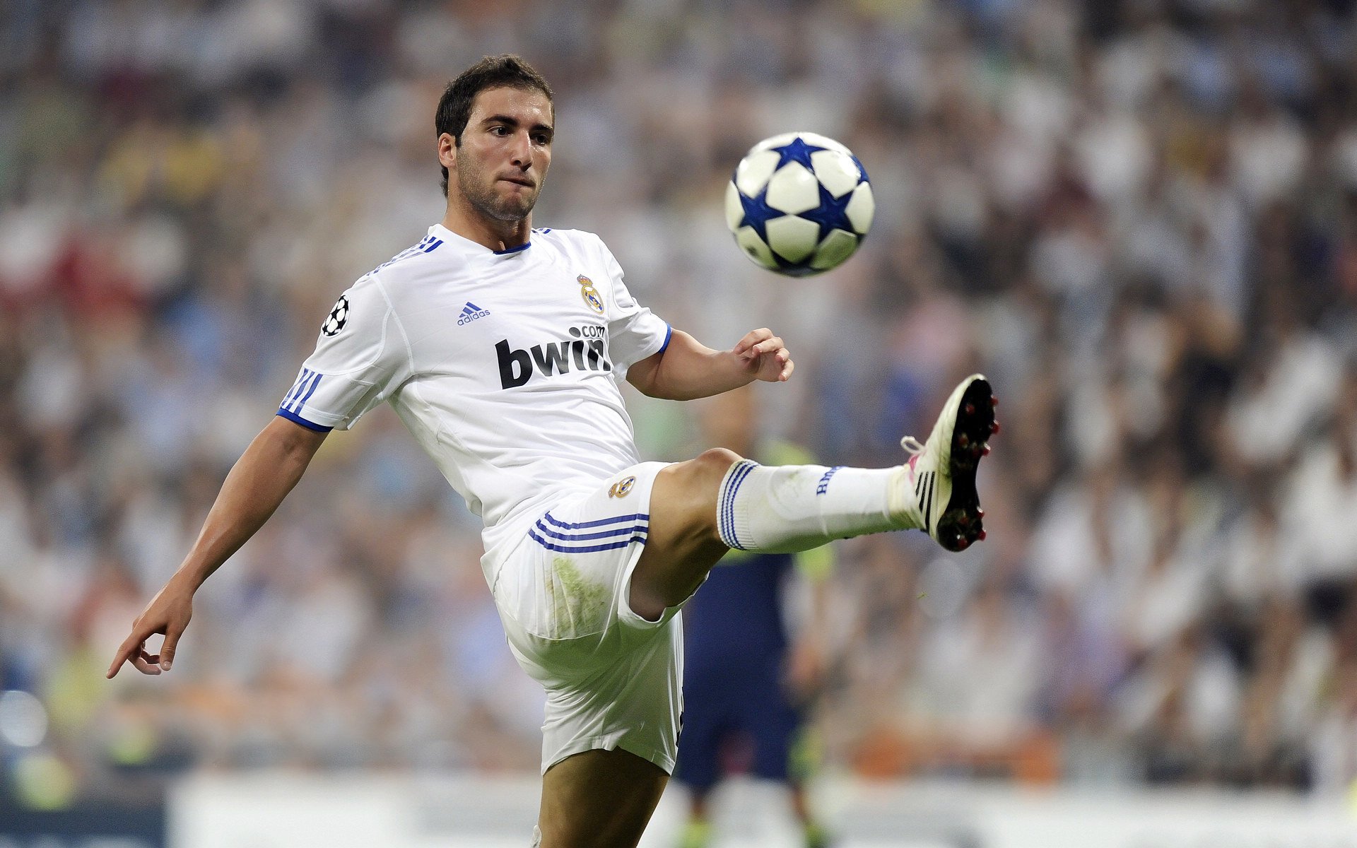 体育赛事观众满意度影响因素研究，体育赛事关注度