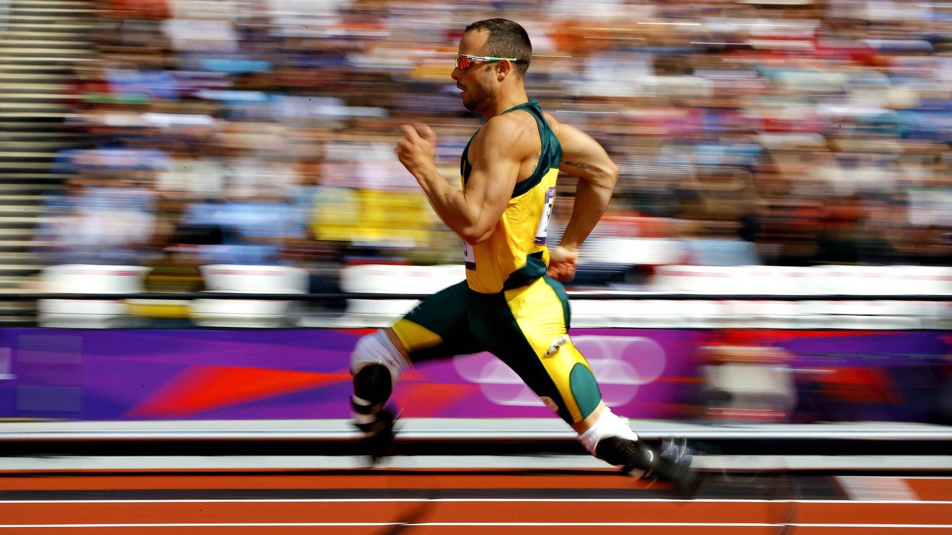 高校体育场馆利用效率提升策略，学校体育场馆运营管理方案